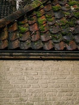 Démoussage de toiture et façades 92